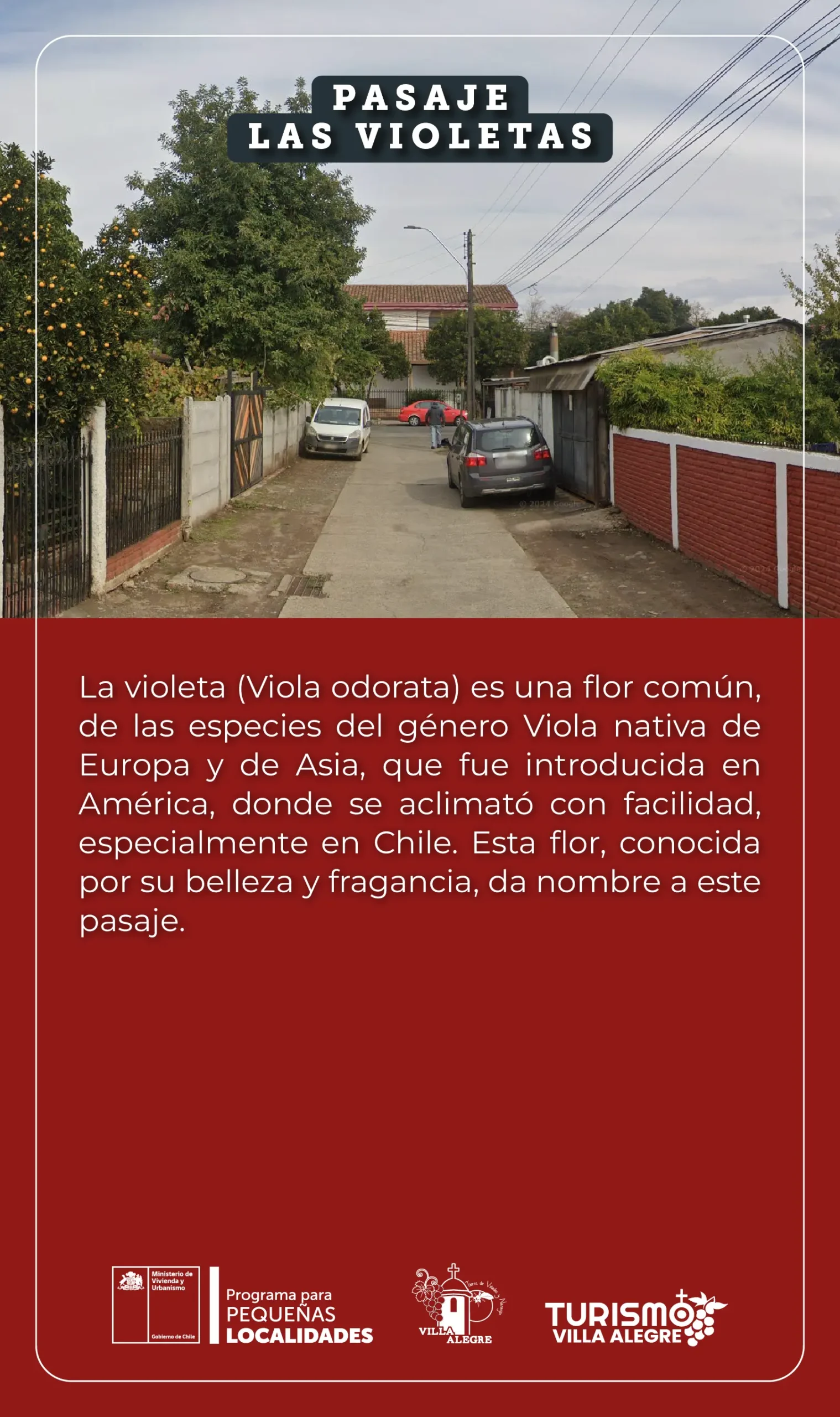 19.- Pasaje LAS VIOLETAS