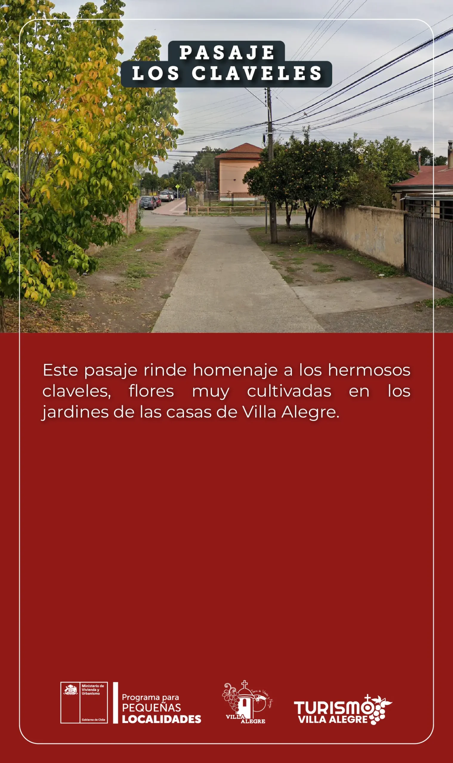 20.- Pasaje LOS CLAVELES