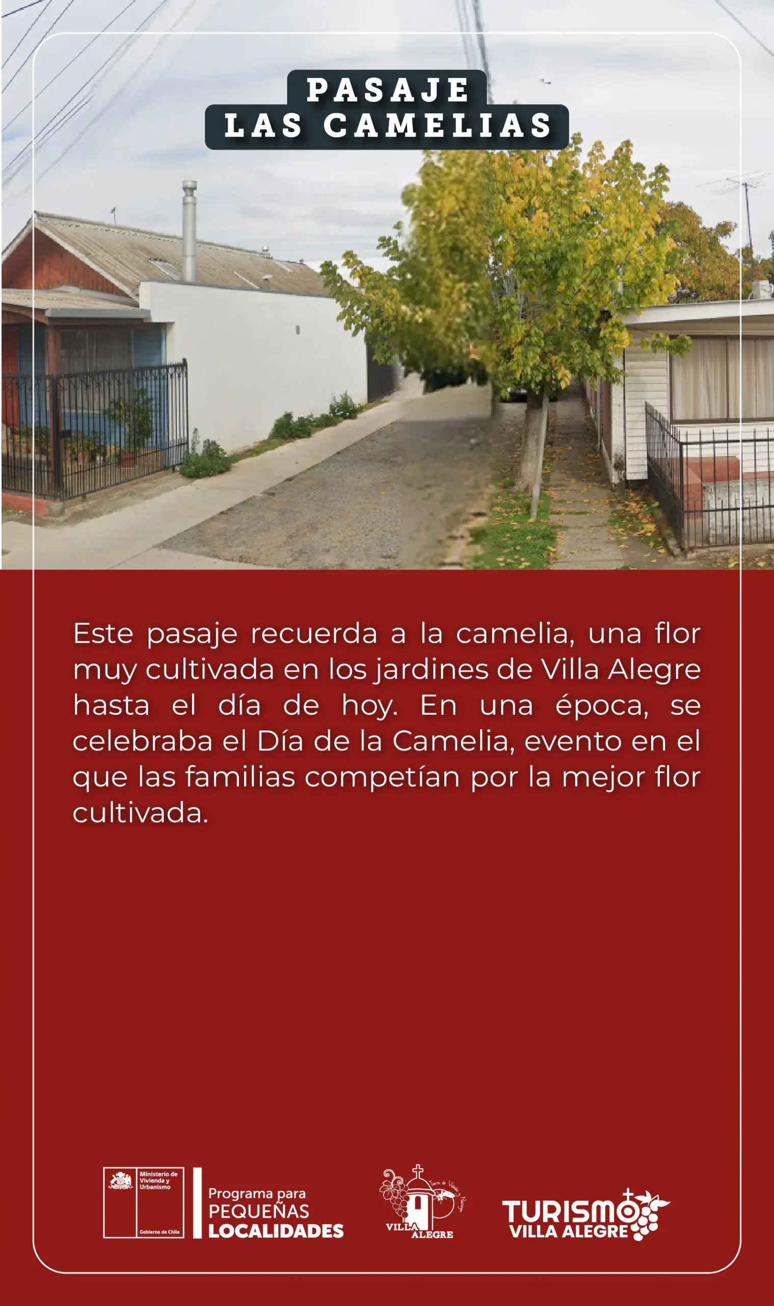 24.- Pasaje las camelias
