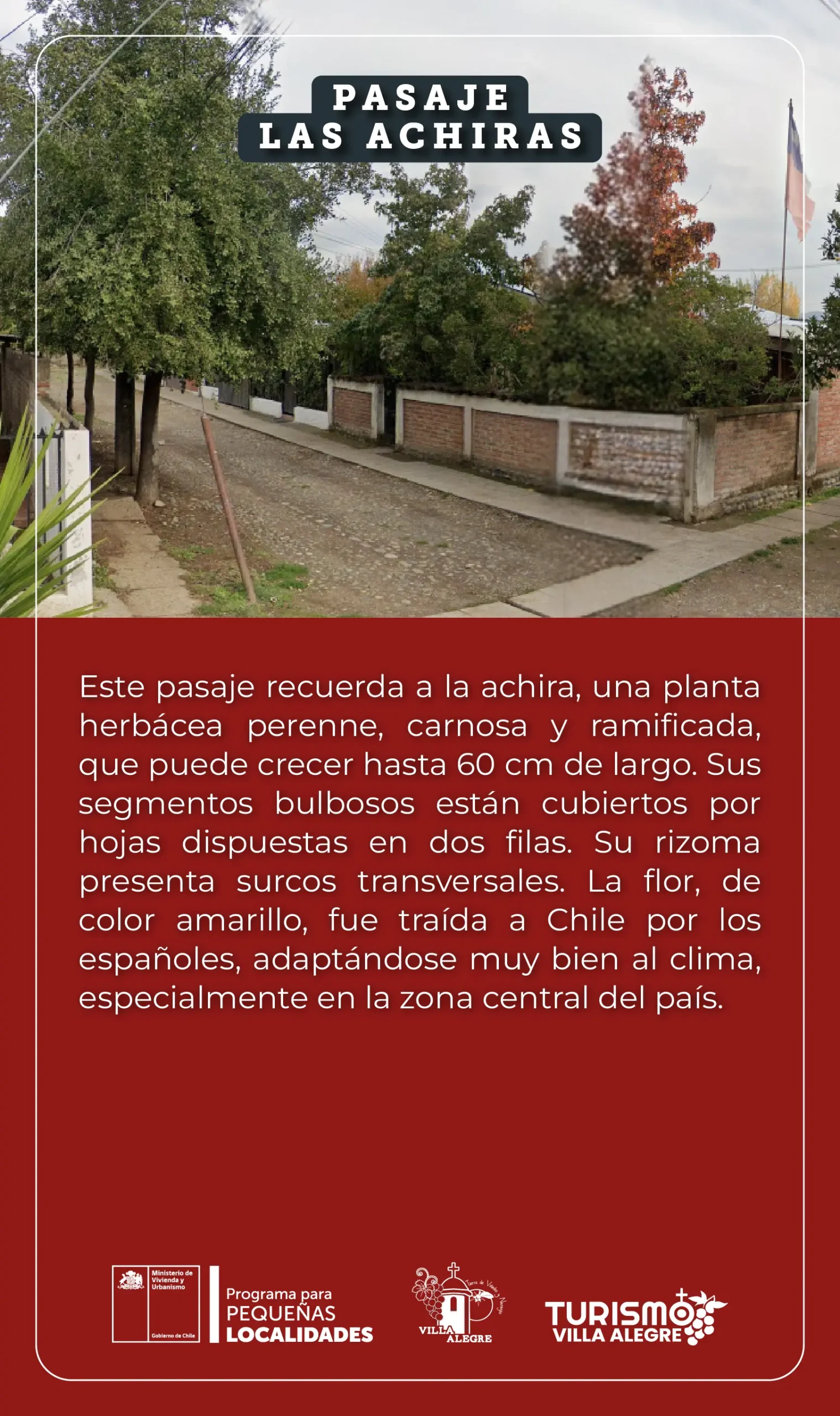 26.- Pasaje LAS ACHIRAS